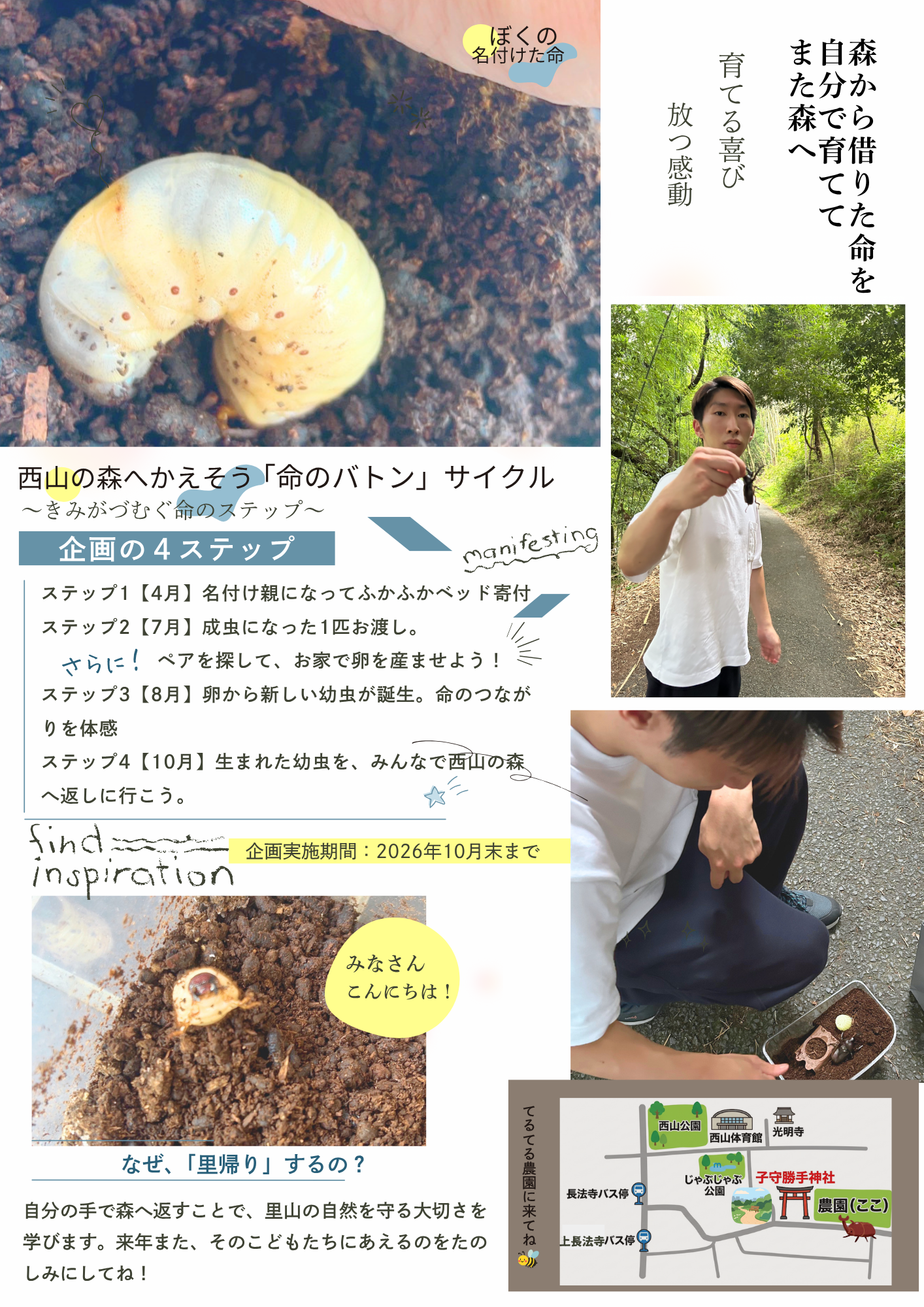 幼虫から成虫、産卵、新しい幼虫を経て西山の森へ返す命のバトンサイクルの説明チラシ