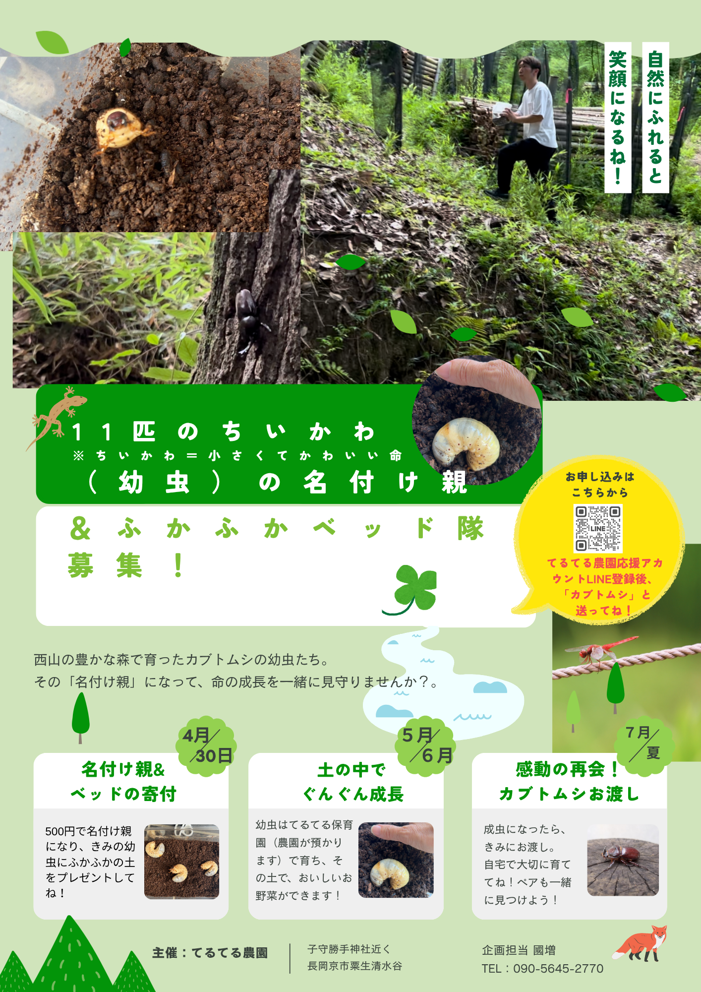 111匹の幼虫の名付け親とふかふかベッド隊募集の案内チラシ
