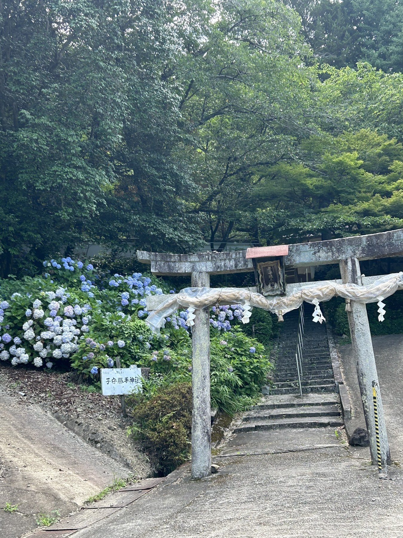 畑の近くにある神社とアジサイ